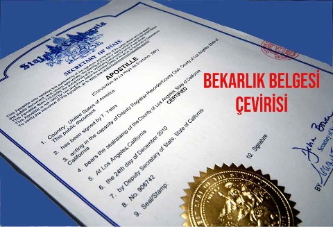 Bekarlık Belgesi Çevirisi